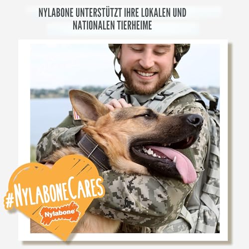 Interpet NFR001PEU Nylabone Kauspielzeug für extreme Kauer, Oberschenkelknochen - Rindergeschmack, M