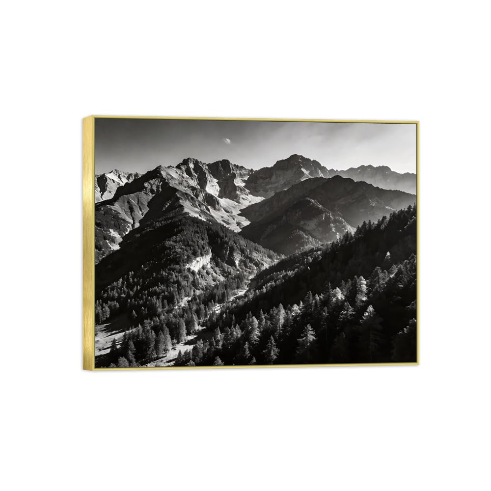 Tree Mountain 2 Black White Landscape Canvas Picture 90x117cm Gold Frame