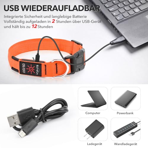 Illumifun LED Leuchthalsband für Hunde - USB-wiederaufladbar Leuchthalsband Hund, Wasserdicht & Größenverstellbar für Mittel Hunde (Orange, M)