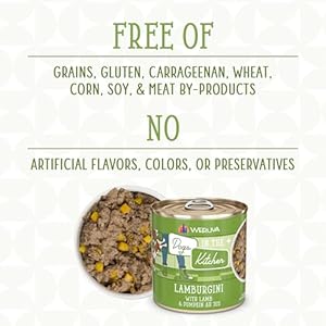 Weruva Canine in The Kitchen, Lamburgini with Lamb & Pumpkin Moist Canine Meals, 10oz Can (Pack of 12)