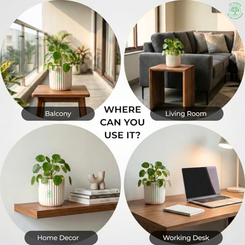 Image of Yo Green Modern Ribbed Ceramic Planter Pot | White Matte Indoor Plant Pot for Home, Office & Living Room Decor (Ribbed Design-4 Inch-Pink)