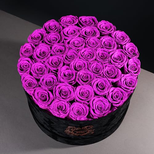 Luxury-Preserved-Roses-in-Suede-Box-Flower-Roses-Gifts-for-Women-Valentines-Day-Flowers-Mothers-Day-Roses-Birthday-Flowers-for-Delivery-Prime-40-Pieces-Purple