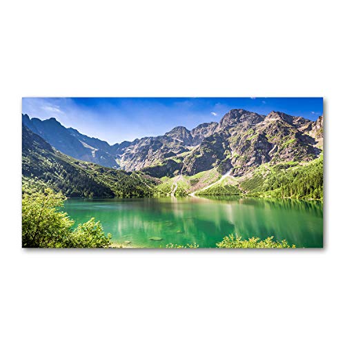 Dosseret en verre fond de hotte 140x70cm crédit de cuisine vert
