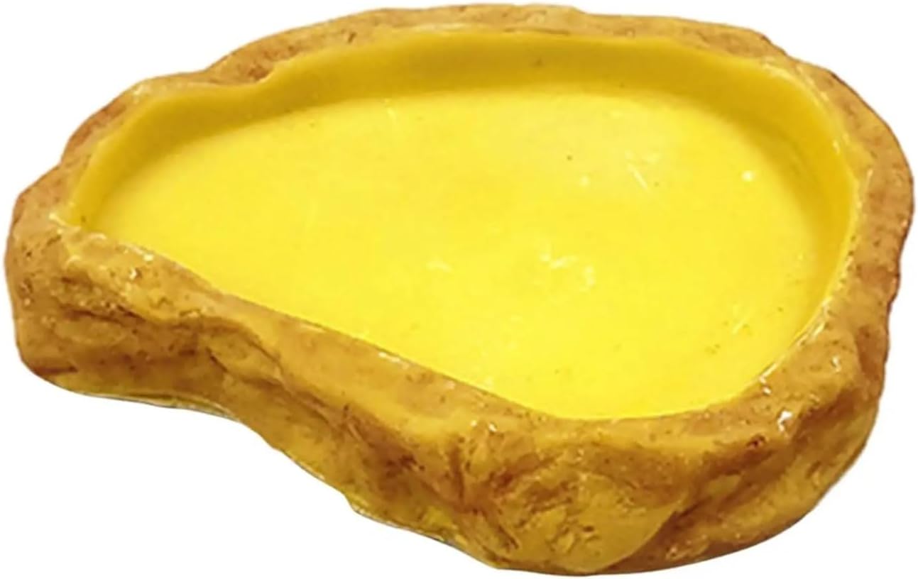 Reptile Water Bowl Terrarium Water Dish Reptile Food Dish Feeding Bowl for Frog Bearded Dragon Tortoise Turtle Leopard Gecko(12x9x3cm)