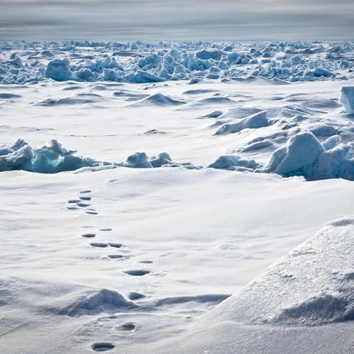 Amazon Music Luce ReyのInside Lights Amazon.co.jp