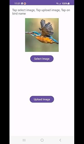 Bird Identification By Picture