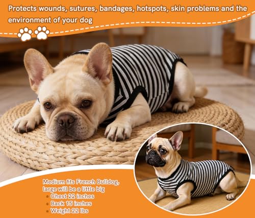 Image of Dog Surgery Recovery Suit Dogs Neuter Spay Female Male Protective Clothes,Black Striped 3XL