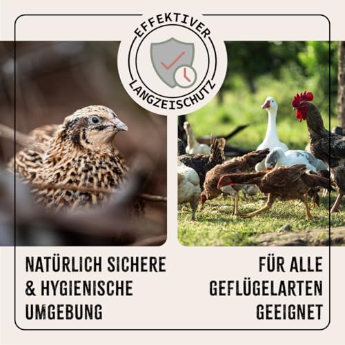 AniForte Kieselgur für Hühner 4,2kg inkl. Stäubeflasche - Reines Kieselgur Hühner Pulver, Kieselerde Pulver, Naturprodukt für Hühnerstall, Laborgeprüft für Geflügel Betriebe