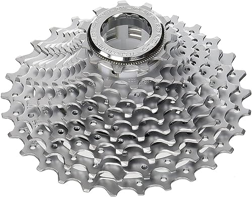 CAMPAGNOLO 11S 11-29 Cassettes y piñones, Unisex Adulto, Plata, Talla Única