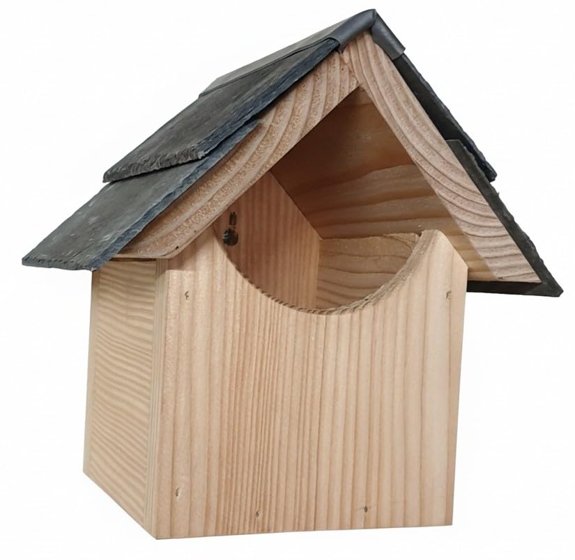 Bird Box - open fronted - Robin Wren