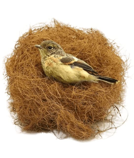 Natural Coco Fiber Nesting Material for All Birds and Small Animals Sufficient for 4 Bird Nests (B0BBD6C9VZ) Amazon Price History, Amazon Price Tracker