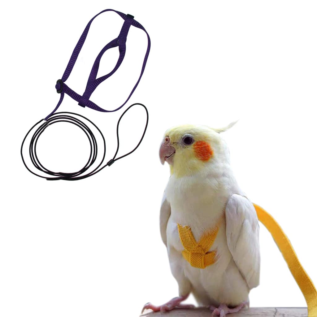 Sage Square Bird Harness Adjustable Durable Reusable Safe Great for Training, exercise & Playing for Amazons, Timneh Greys, Yellow Collar Macaw, Small Cockatoos, Large Parakeets, Chattering Lorikeets & All Pionus (Random) (Small) (B0B3RNTQ36) Amazon Price History, Amazon Price Tracker