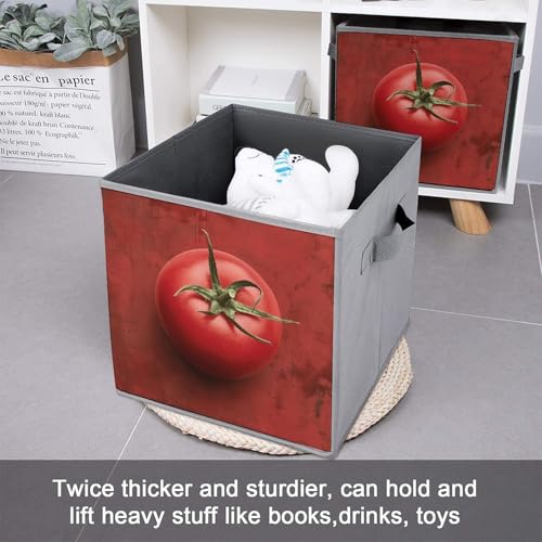 Boîtes de rangement murales pour tomates panier pliable et modulable