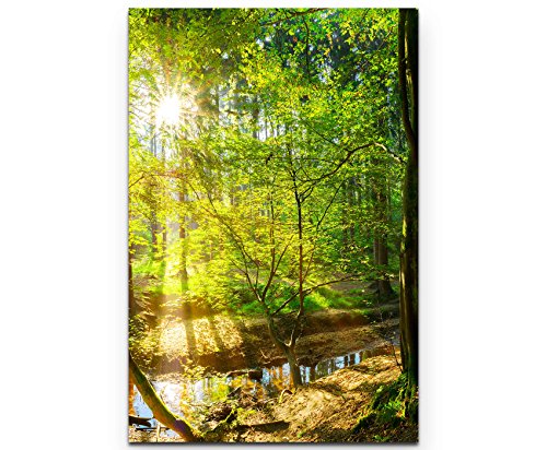 Paul Sinus Art Leinwandbilder | Bilder Leinwand 90x60cm Wald im...
