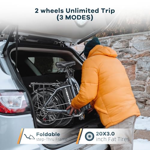 Image of 1000W Folding Electric Bike, 48V 20.8AH Large Removable Battery E-Bike, 30+MPH, 80 Miles Max Range, 20 inch Fat Tire Electric Bike for Adults, Adult Electric Bicycles for Commute