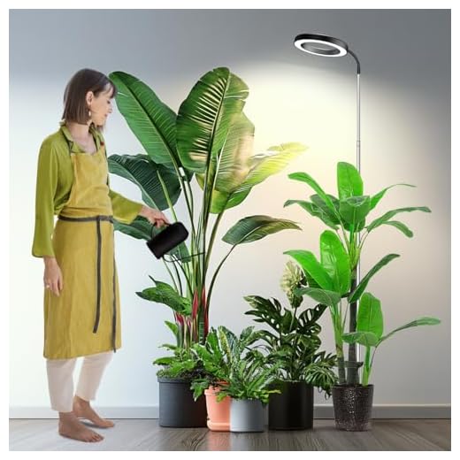 EINFEBEN Pflanzenlampe Vollspektrum,LED Grow Lampe 15W,mit Rot Blau Licht,Pflanzenleuchte für Zimmerpflanzen Gemüse und Blumen im Gewächshaus 16 Garpsen Pflanzenlampe, Vollspektrum 65'' Pflanzenlicht mit Schwanenhals, 3 Farbmodi und 5 dimmbare Stufen, 6/12/16H Timer, 80 LEDs Höhenverstellbare Grow Lampe für große Pflanzen(Einbringen von Boden)