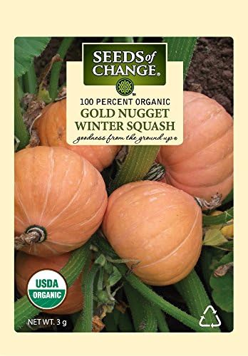 Seeds of Change 01593 Organic Gold Nugget Squash