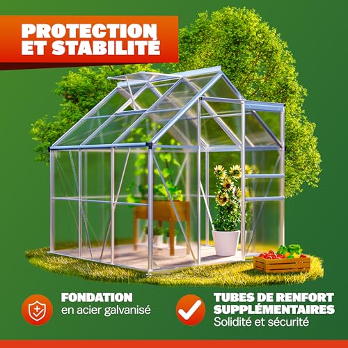 Serre extérieure polycarbonate robuste avec embase et lucarne de toit de 190x190cm - 7