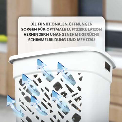 Wäschebox Wäschesammler 60L Wäschekorb mit Deckel Wäscheaufbewahrung aus Kunststoff Wäsche Sortierer