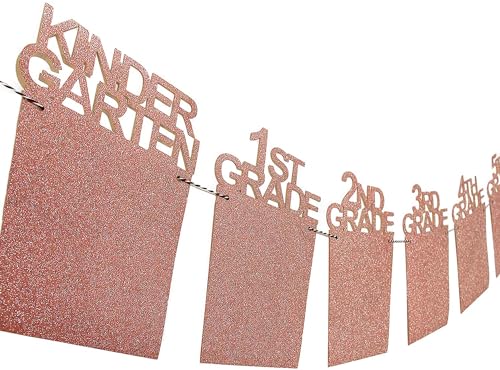 Image of Graduation Decorations 2026 2027 Photo Banner Class of 2026 K-12 Picture Display High School College Grad Party Supplies Pink 4X6 SG063PK