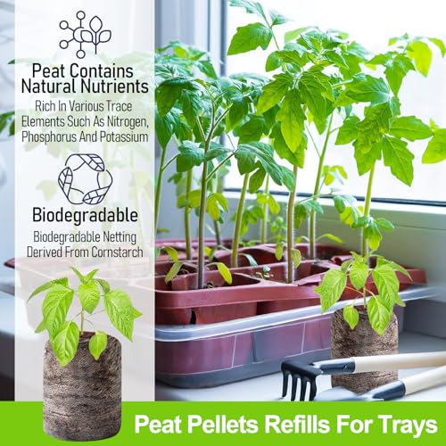 Image of Legigo 200 Pcs 30mm Peat Pellets Seed Starter Soil Pods, Seedling Soil Peat Pods for Seed Starting, Compressed Seed Pod Starter Plugs for Garden Vegetables Plant Cuttings Herbs and Flowers