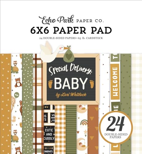 Paper Pad Echo Park 24 feuilles Special Delivery Baby pour loisirs créatifs