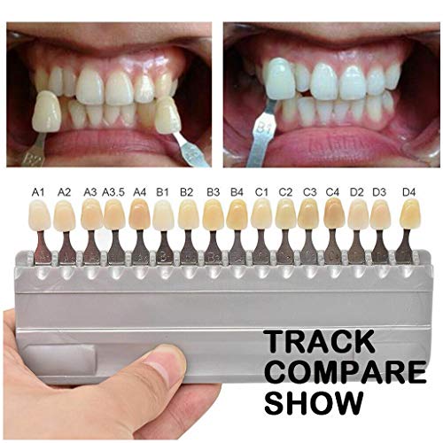 Best Shade Guide