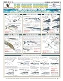 Tightlines Big Game Bait Rigging Circle Hooks 6
