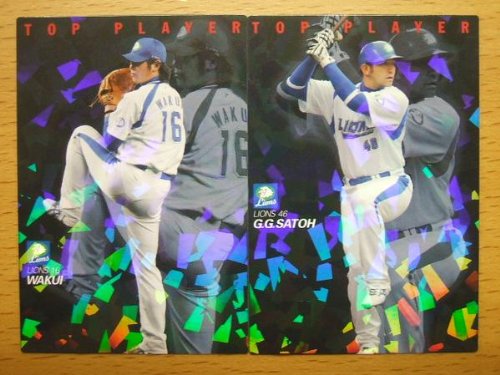 Amazon.co.jp: 2008カルビープロ野球チップス第1弾【埼玉西武
