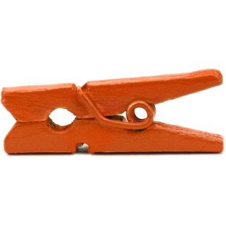 LWR CRAFTS Wooden Mini Clothespins in Vibrant Orange