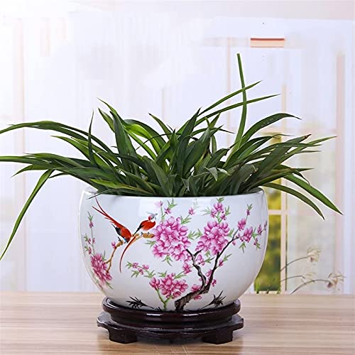 Pot de fleur en céramique YRYRYW pour plante succulente et intérieur