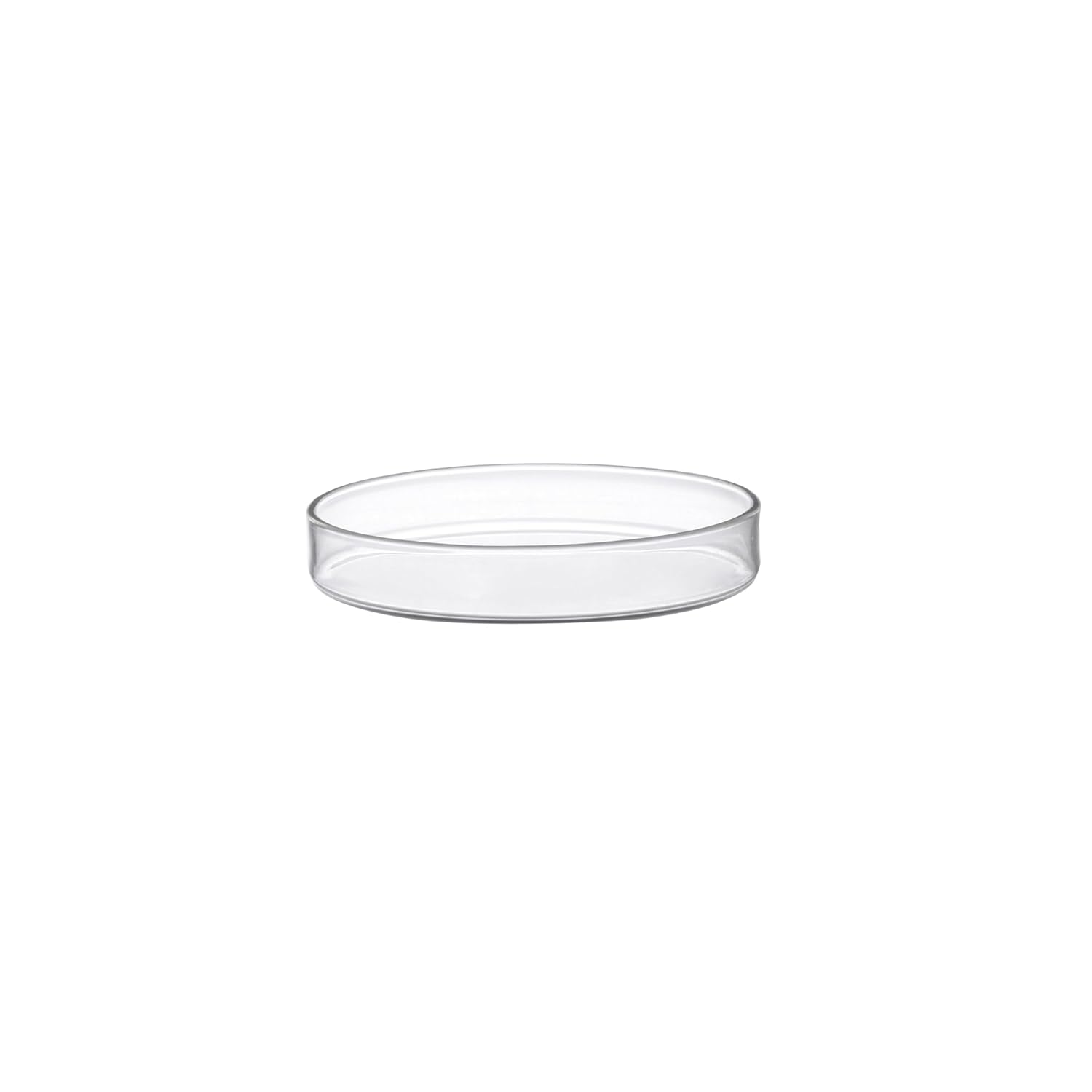 EISCO Petri Dish - 100 x 15mm - Transparent, Soda Glass - Beaded Edges - Autoclavable