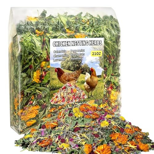 Yormint Ervas para nidificação de frango de 595 g – 7 ervas secas naturais para frescor de galinheir
