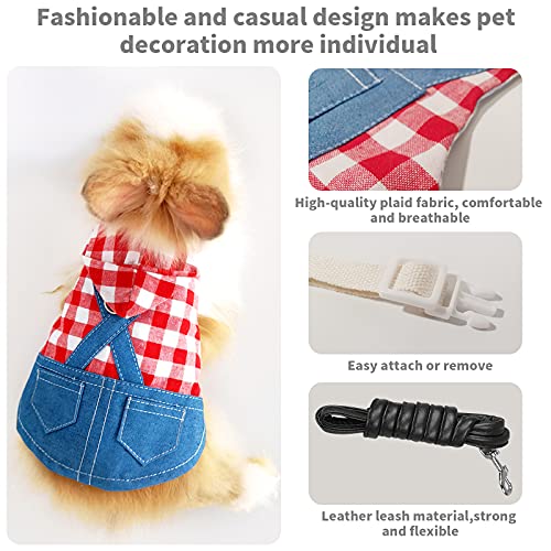 Set Imbracatura e Guinzaglio per Coniglio