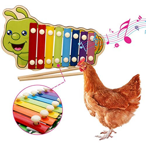 Cokeymove Juguetes para Niños, Juguetes De Xilófono De Pollo, Juguetes para Pájaros, Juguetes para Niños Picoteados En El Gallinero, Muy Adecuados para Principiantes.