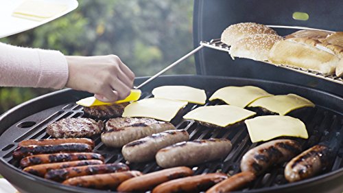 Fuego F24C Professional Propane Gas Grill