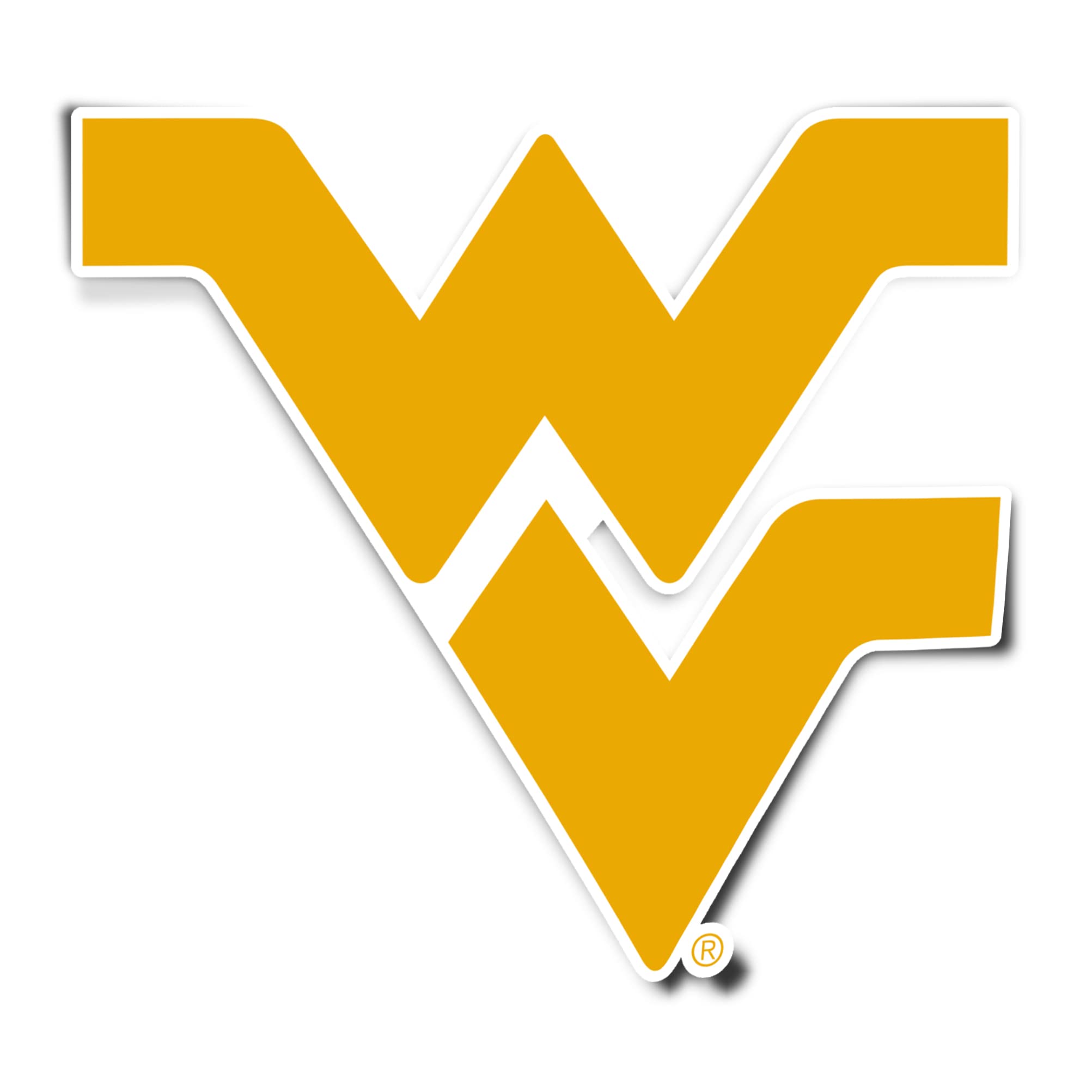 Desert Cactus West Virginia University Sticker Mountaineers WVU Hail Vinyl Decal Laptop Water Bottle Car Scrapbook (IND 1)
