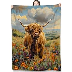 Highland Cow