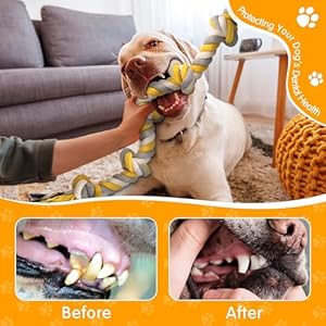 XXL-6-Knot-Dog-Rope-Toy-for-Large-Dogs-Aggressive-Chewers-40in-Long-Heavy-Duty-Rope-Toy-Almost-Indestructible-Dog-Tug-Toy-Puppy-Cotton - Cucciolini Doodles   XXL-6-Knot-Dog-Rope-Toy-for-Large-Dogs-Aggressive-Chewers-40in-Long-Heavy-Duty-Rope-Toy-Almost-Indestructible-Dog-Tug-Toy-Puppy-Cotton