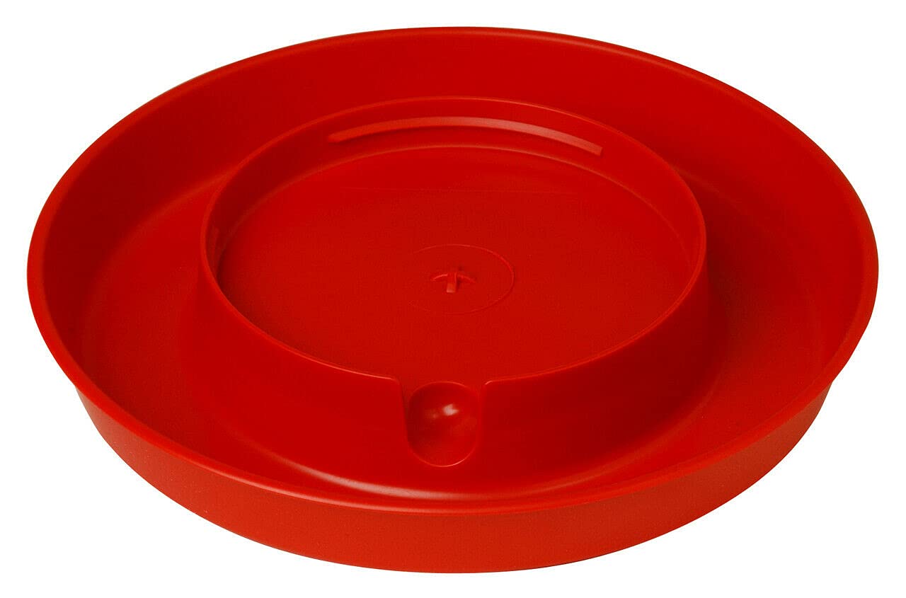 Plastique pour volaille bases pour stabiliser abreuvoir poulailler