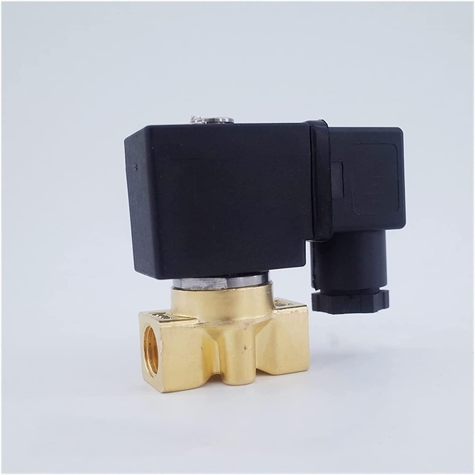 Électrovanne laiton G1/4 AC220V pour automatisation de l'arrosage de jardin
