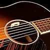 L.R. Baggs Anthem-SL Acoustic Guitar Pickup and Microphone #2