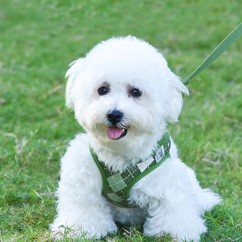 PawSailor Step-in-Hundegeschirr für extra kleine Hunde und Katzen, kein Ziehen, Kariertes, ausbruchsicheres Welpengeschirr mit Leine, verstellbar, reflektierend für sicheren Spaziergang, Grün, XXS