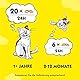 DREAMIES Katzensnacks - 2x350g - mit Käse - Traumhaft knusprige Katzen Leckerlies mit zarter Füllung - Mega Box