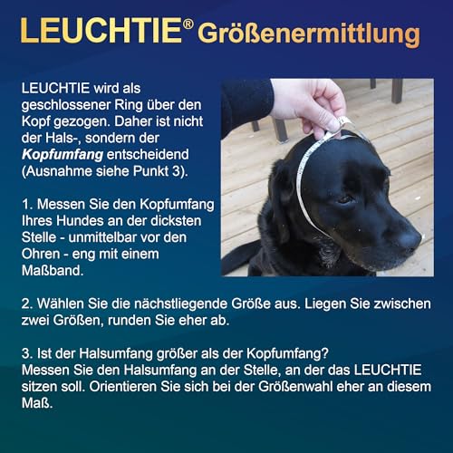LEUCHTIE® Plus NL Leuchthalsband Hund batteriebetrieben, nachleuchtend phosphoreszierendes Batterieteil, wasserdichtes LED Halsband, 100h Leuchtdauer, enorm hell, eisblau Größe 40