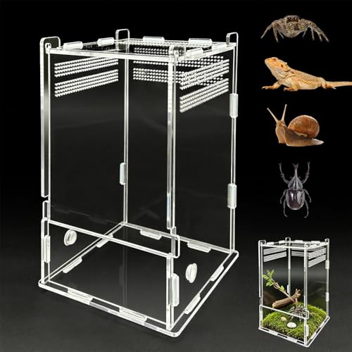 Image of Jumping Spider Enclosure,Insects Habitat,Small Reptile Terrarium Glass House,for Spiders,Tarantulas,Snail,Mantis,Lizard and Small Reptiles,4.72 inchx4.33 inchx4.33 inch
