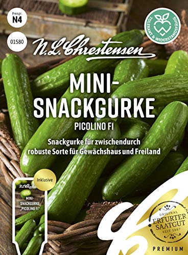 Mini- Snackgurke Picolino F1 Samen, Saatgut