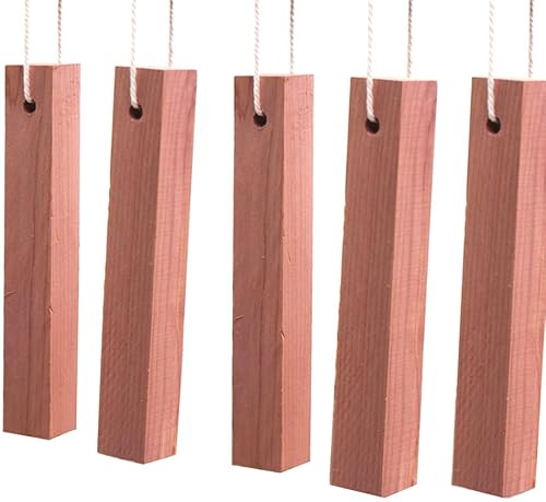 Yayunxuan Bloques de cedro para almacenamiento de ropa, 5 uds. Cedro aromático para colgar en el armario, ambientador de ropa, protección contra la