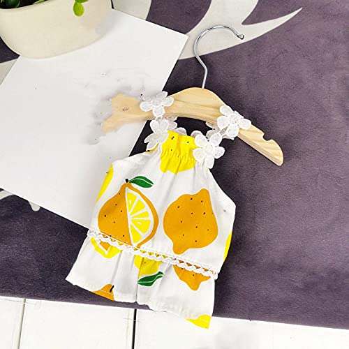 Vêtements pour chiens et jupes d'été légères pour petits chats