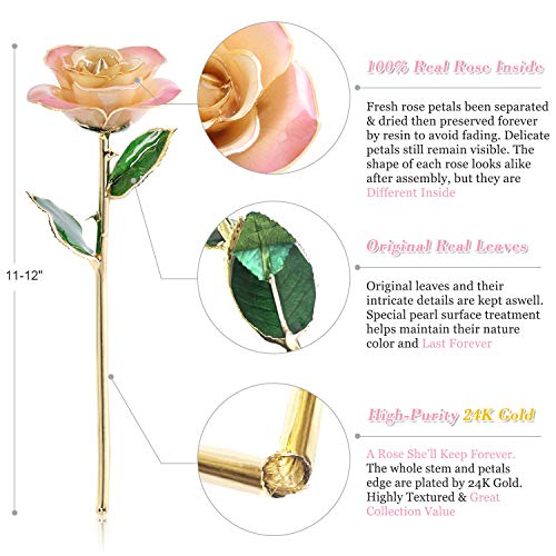 Listado de Rosa oro los mejores 5. 14 rosa oro marca Ejoyous (2)